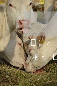 產(chǎn)品逾期后還完錢多久花唄能用-產(chǎn)品逾期后還完錢多久花唄能用啊