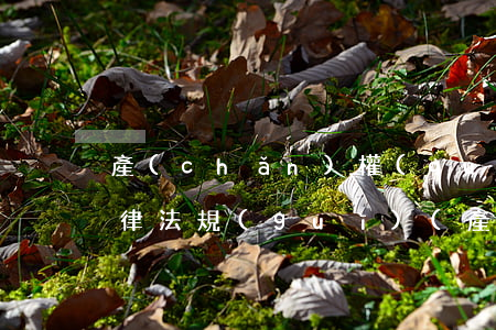 產(chǎn)權(quán)式酒店的法律法規(guī)(產(chǎn)權(quán)式酒店涉及的法律關(guān)系有哪些)
