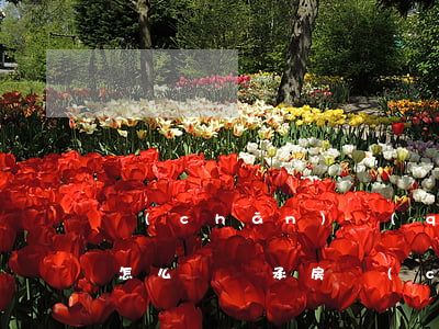 產(chǎn)權(quán)繼承人承諾怎么寫(繼承房產(chǎn)的協(xié)議書怎么寫)
