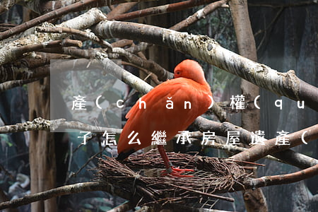 產(chǎn)權(quán)證遺失的房子怎么繼承(房屋遺產(chǎn)繼承過(guò)戶)