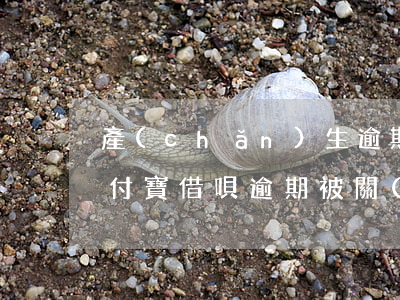 產(chǎn)生逾期借唄還可以開通么(支付寶借唄逾期被關(guān)閉 還上可以開通嗎)