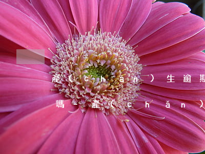 產(chǎn)生逾期提前還完記錄能消除嗎-產(chǎn)生逾期提前還完記錄能消除嗎怎么辦