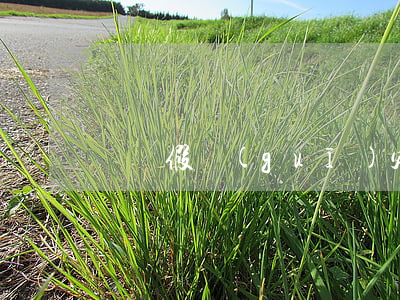 產檢假規(guī)定