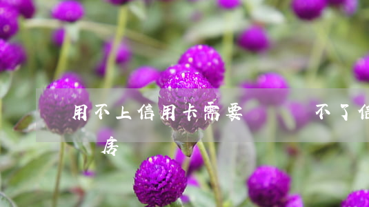 用不上信用卡需要辦嗎(辦不了信用卡能貸款買房嗎)