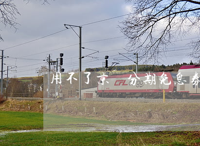 用不了京東分期免息券