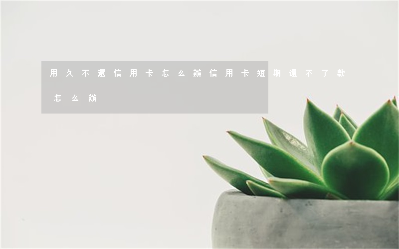 用久不還信用卡怎么辦(信用卡短期還不了款怎么辦)