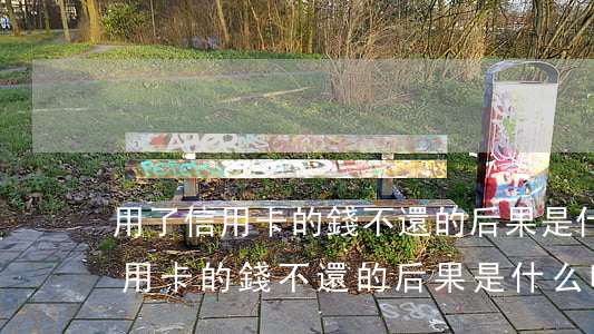 用了信用卡的錢不還的后果是什么-用了信用卡的錢不還的后果是什么呢