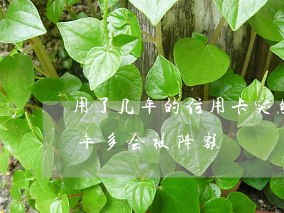 用了几年的信用卡突然降额了（信用卡逾期一年多会被降额）