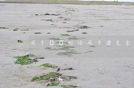 用于經營的信用卡透支金額