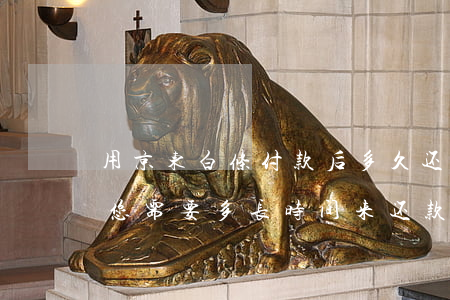 用京东白条付款后多久还款，京东白条支付后，您需要多长时间来还款？