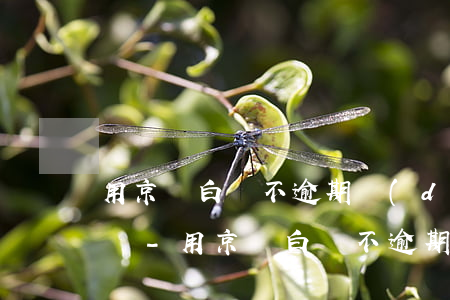 用京東白條不逾期對(duì)征信有影響嗎-用京東白條不逾期對(duì)征信有影響嗎知乎