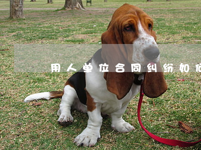 用人单位合同纠纷如何处理