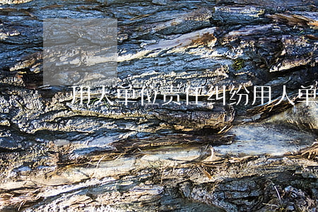 用人单位责任纠纷(用人单位责任纠纷判决书)