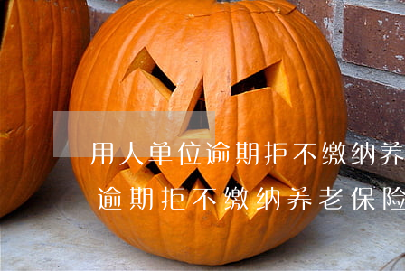 用人单位逾期拒不缴纳养老保险-用人单位逾期拒不缴纳养老保险怎么办