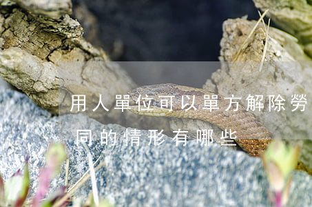 用人單位可以單方解除勞動(dòng)合同的情形有哪些