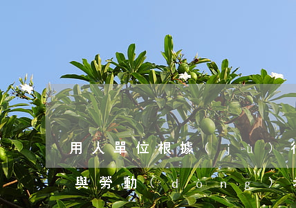 用人單位根據(jù)行業(yè)慣例不與勞動(dòng)者簽訂書面勞動(dòng)合同是否違法
