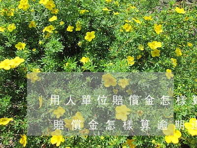 用人單位賠償金怎樣算逾期違約-用人單位賠償金怎樣算逾期違約金呢