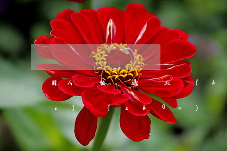 用人單位辭退員工補(bǔ)償標(biāo)準(zhǔn)(沒(méi)簽合同用人單位辭退員工補(bǔ)償標(biāo)準(zhǔn))