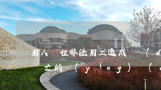 用人單位非法用工造成勞動(dòng)者傷亡的，應(yīng)當(dāng)用人單位及出資人應(yīng)當(dāng)承擔(dān)賠償責(zé)任