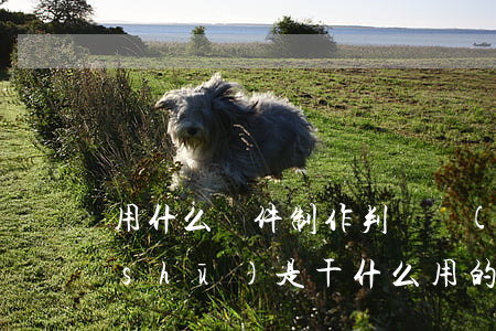 用什么軟件制作判決書(shū)(判決書(shū)是干什么用的)