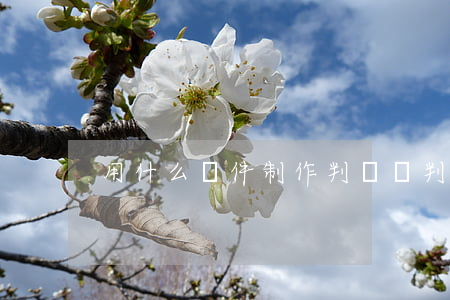 用什么軟件制作判決書(判決書是干什么用的)