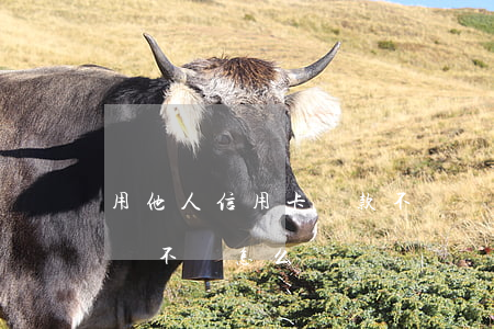 用他人信用卡貸款不還錢(別人用我信用卡借錢不還怎么辦)