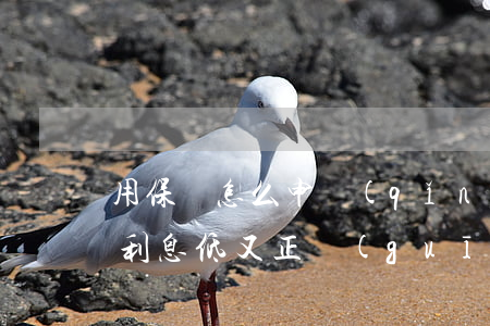 用保單怎么申請(qǐng)貸款(哪里貸款利息低又正規(guī)又安全)