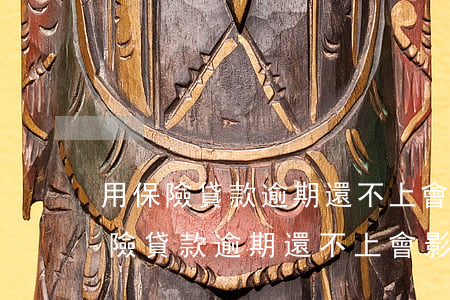 用保險貸款逾期還不上,會影響孩子嗎-用保險貸款逾期還不上,會影響孩子嗎