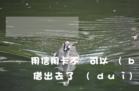 用信用卡不還可以報(bào)警嗎(信用卡借出去了對(duì)方不還可以報(bào)警嗎?)