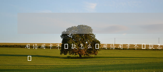 用信用卡不還款怎么辦(用信用卡不還款怎么辦)