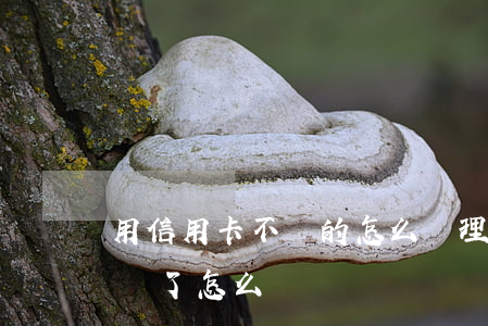 用信用卡不還的怎么辦理(朋友用了信用卡不還了怎么辦)