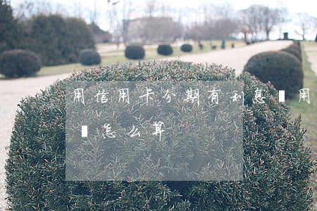 用信用卡分期有利息嗎(用信用卡分期有利息嗎怎么算)
