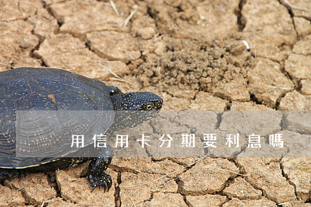 用信用卡分期要利息嗎