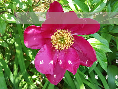 用信用卡取現(xiàn)利息咋算（取現(xiàn)信用卡利息）