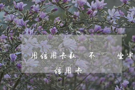 用信用卡取錢不還會坐牢嗎(可以從信用卡取錢還信用卡嗎)