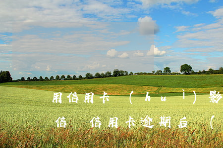 用信用卡會(huì)影響個(gè)人征信嗎（信用卡逾期后會(huì)影響個(gè)人征信嗎）