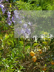 用信用卡欠村余額寶(用信用卡欠村余額寶會(huì)怎么樣)
