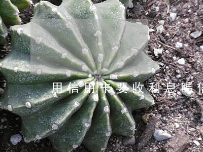 用信用卡要收利息嗎（信用卡收利息算逾期嗎）