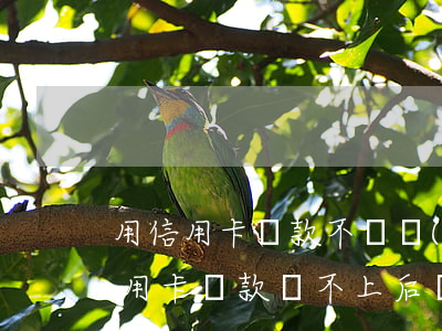 用信用卡貸款不還會(huì)怎樣(如果信用卡貸款還不上后會(huì)怎么樣)
