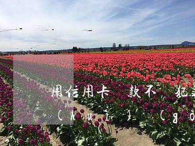 用信用卡貸款不還犯罪嗎(刷信用卡還不上會(huì)構(gòu)成什么罪名)