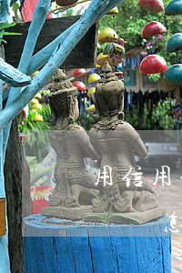 用信用卡透支后無力償還(信用卡透支后無力償還怎么辦)