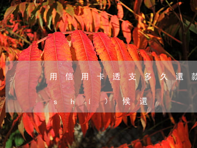 用信用卡透支多久還款(信用卡透支什么時(shí)候還)