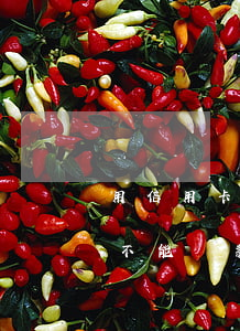 用信用卡透支買房子可以嗎(有信用卡是不是不能貸款買房)