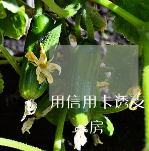 用信用卡透支還房貸可以嗎(可以用信用卡的錢還房貸嗎)