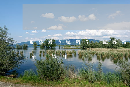 用信用卡逾期了還能再借嗎(逾期還款的信用卡還能用嗎)