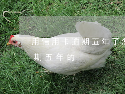 用信用卡逾期五年了怎么辦(有沒有信用卡逾期五年的)