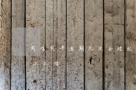 用信用卡逾期几次会被起诉(信用逾期几次会上征信)