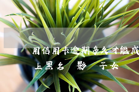 用信用卡逾期多久才能成黑名單（信用卡逾期上黑名單影響子女嗎）