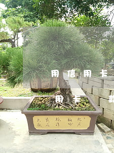 用信用卡還款逾期會(huì)怎樣-用信用卡還款逾期會(huì)怎樣處理