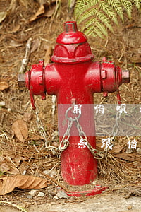 用借呗和京东金条循环还款可以吗-京东金条跟借呗互相还